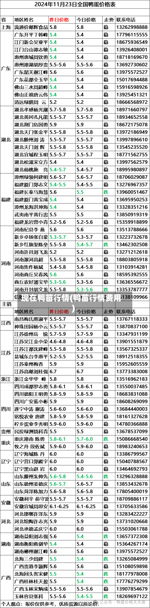 现在鸭苗行情(鸭苗行情费用)