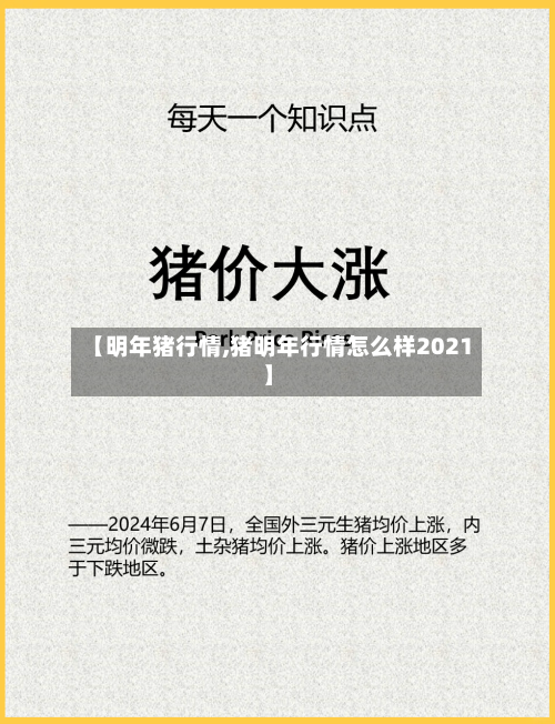 【明年猪行情,猪明年行情怎么样2021】-第2张图片