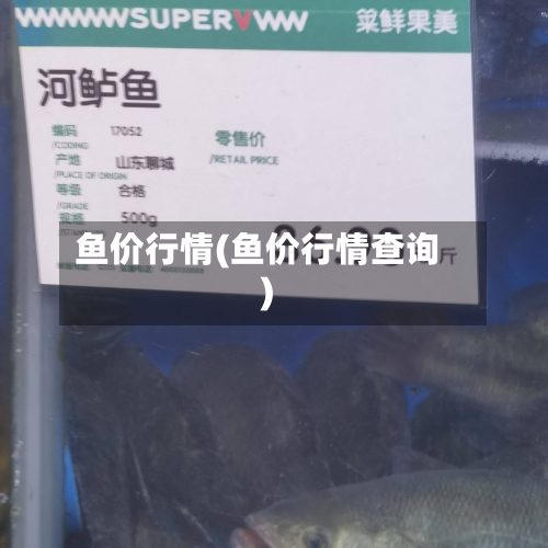 鱼价行情(鱼价行情查询)