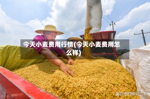 今天小麦费用行情(今天小麦费用怎么样)