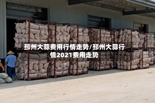 邳州大蒜费用行情走势/邳州大蒜行情2021费用走势