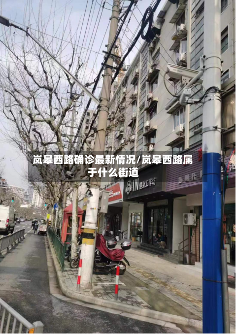 岚皋西路确诊最新情况/岚皋西路属于什么街道