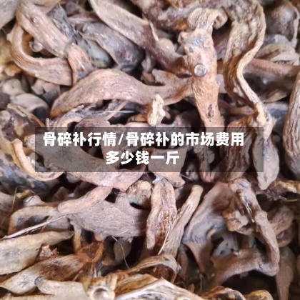 骨碎补行情/骨碎补的市场费用多少钱一斤-第2张图片