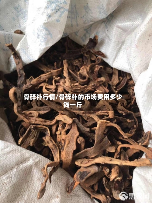 骨碎补行情/骨碎补的市场费用多少钱一斤-第3张图片