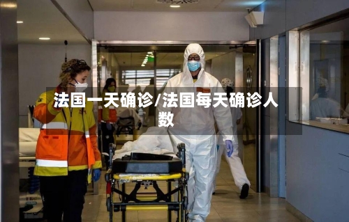 法国一天确诊/法国每天确诊人数