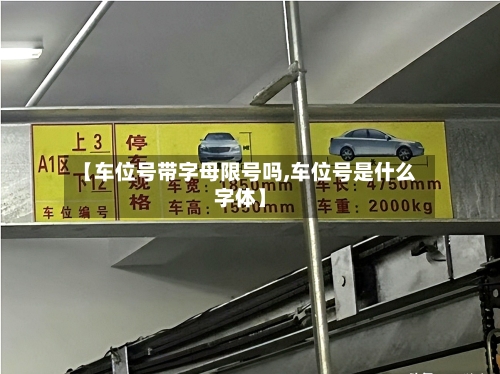 【车位号带字母限号吗,车位号是什么字体】-第3张图片