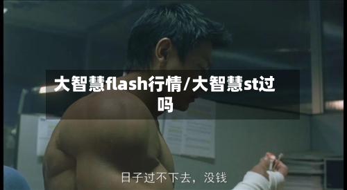 大智慧flash行情/大智慧st过吗
