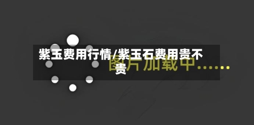 紫玉费用行情/紫玉石费用贵不贵