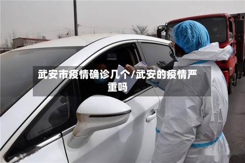 武安市疫情确诊几个/武安的疫情严重吗-第2张图片