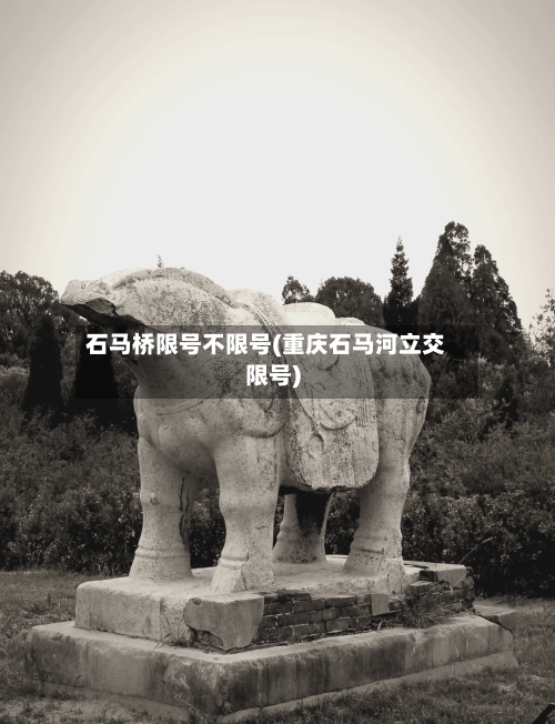 石马桥限号不限号(重庆石马河立交限号)