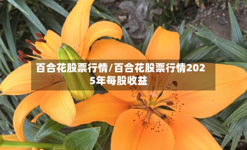 百合花股票行情/百合花股票行情2025年每股收益