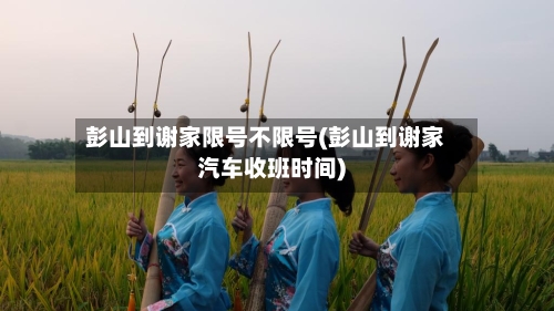 彭山到谢家限号不限号(彭山到谢家汽车收班时间)