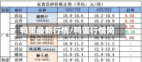 鸭蛋最新行情/鸭蛋行情网
