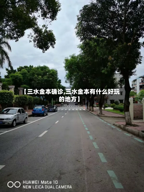 【三水金本确诊,三水金本有什么好玩的地方】-第3张图片