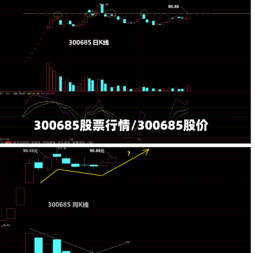 300685股票行情/300685股价-第2张图片