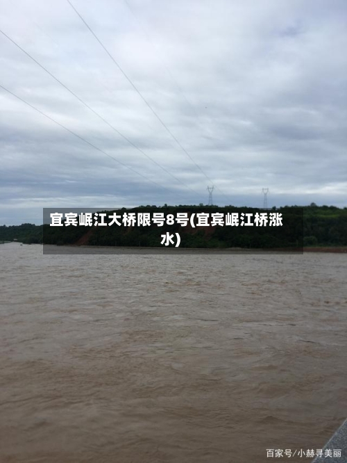 宜宾岷江大桥限号8号(宜宾岷江桥涨水)