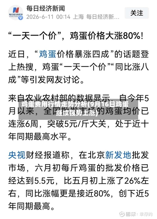 鸡蛋费用行情走势分析(9月16日鸡蛋继续强势上涨)-第2张图片