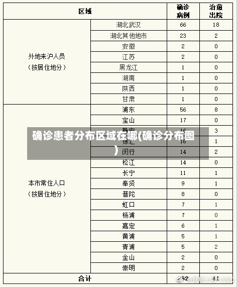 确诊患者分布区域在哪(确诊分布图)-第2张图片
