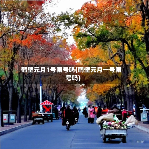 鹤壁元月1号限号吗(鹤壁元月一号限号吗)