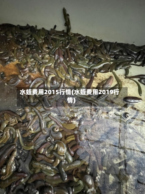 水蛭费用2015行情(水蛭费用2019行情)-第2张图片