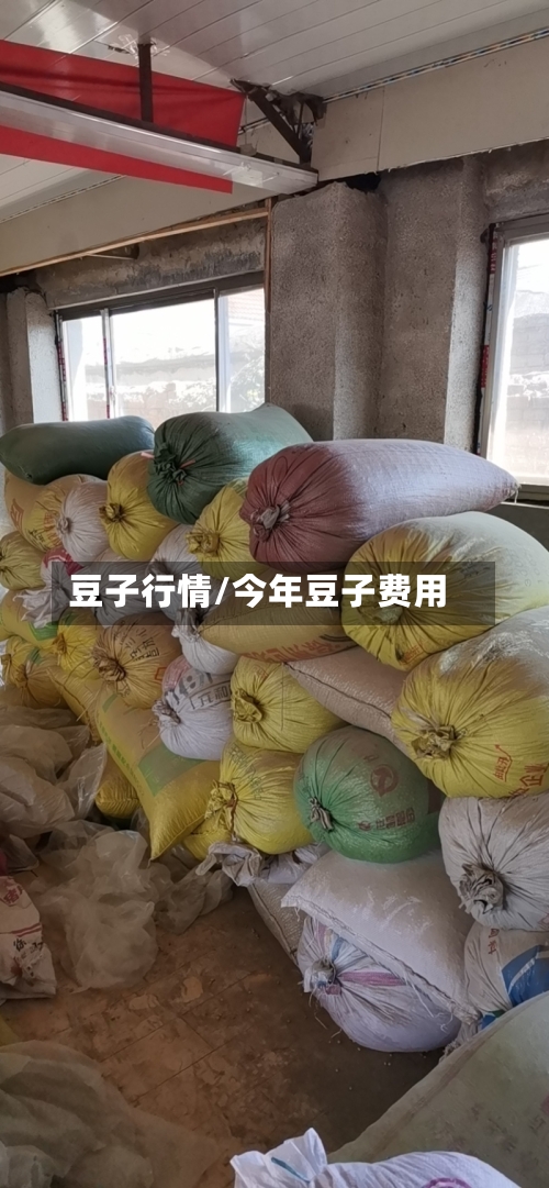 豆子行情/今年豆子费用-第2张图片