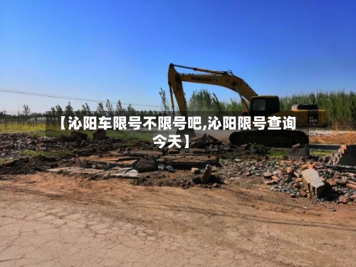 【沁阳车限号不限号吧,沁阳限号查询今天】
