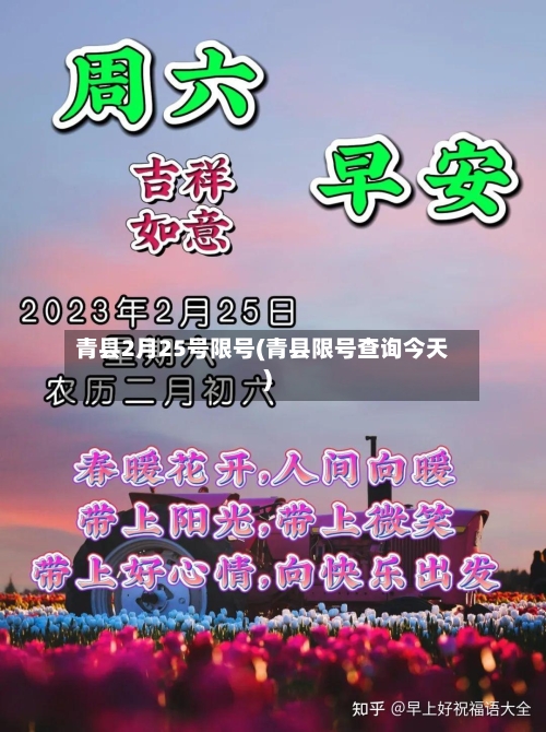 青县2月25号限号(青县限号查询今天)
