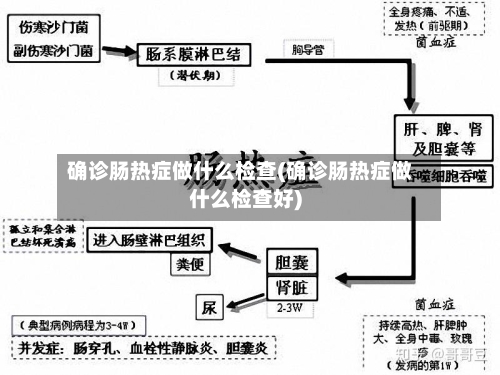 确诊肠热症做什么检查(确诊肠热症做什么检查好)-第2张图片