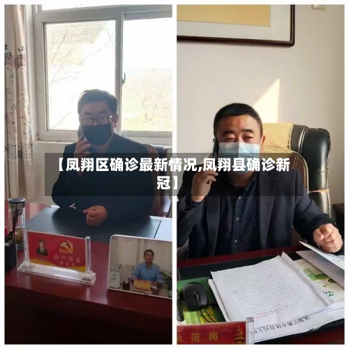 【凤翔区确诊最新情况,凤翔县确诊新冠】-第2张图片