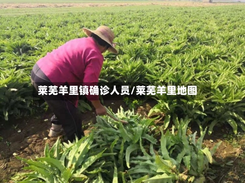 莱芜羊里镇确诊人员/莱芜羊里地图
