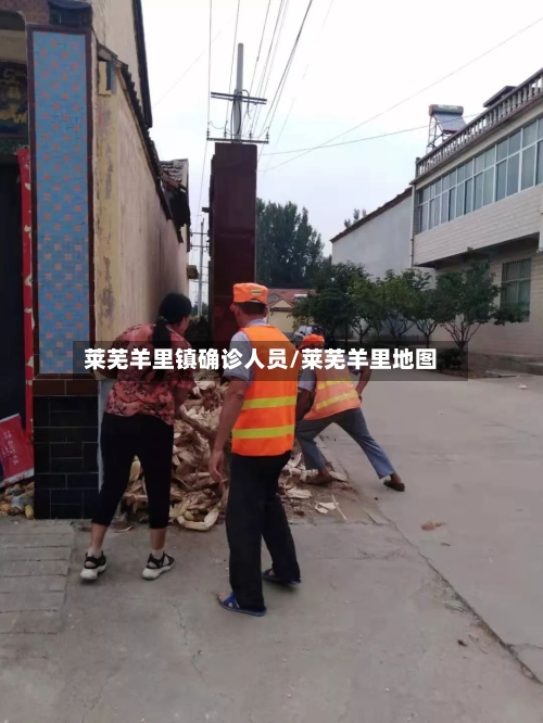莱芜羊里镇确诊人员/莱芜羊里地图-第2张图片