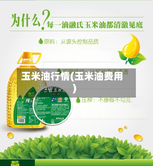 玉米油行情(玉米油费用)