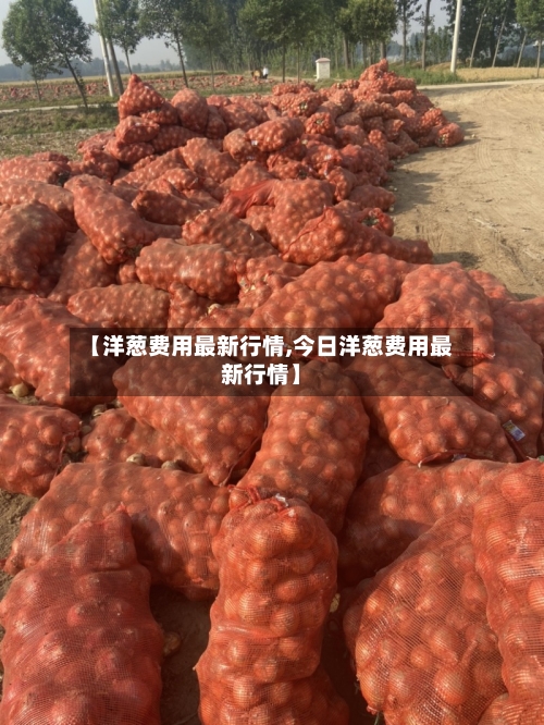 【洋葱费用最新行情,今日洋葱费用最新行情】-第2张图片