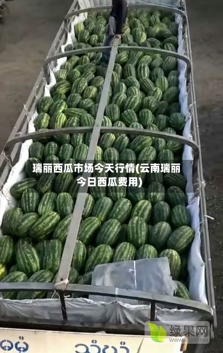 瑞丽西瓜市场今天行情(云南瑞丽今日西瓜费用)-第2张图片