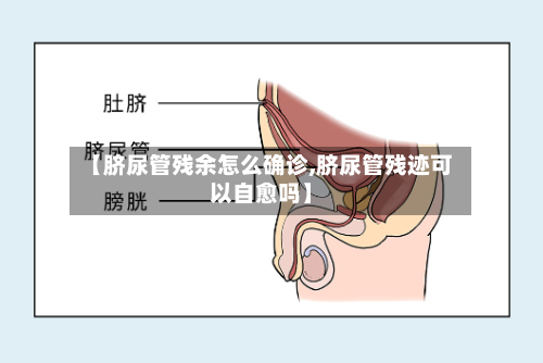 【脐尿管残余怎么确诊,脐尿管残迹可以自愈吗】-第3张图片