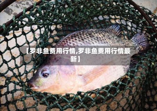 【罗非鱼费用行情,罗非鱼费用行情最新】