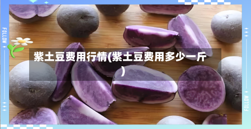 紫土豆费用行情(紫土豆费用多少一斤)