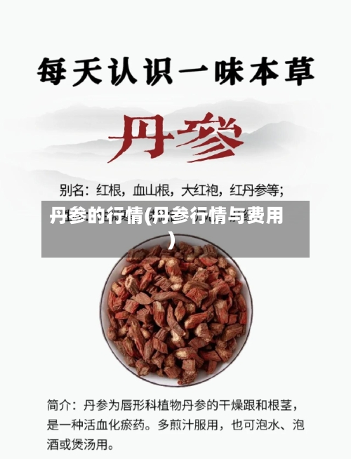 丹参的行情(丹参行情与费用)