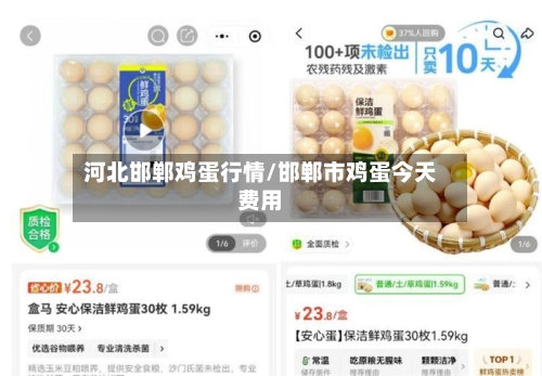 河北邯郸鸡蛋行情/邯郸市鸡蛋今天费用-第3张图片