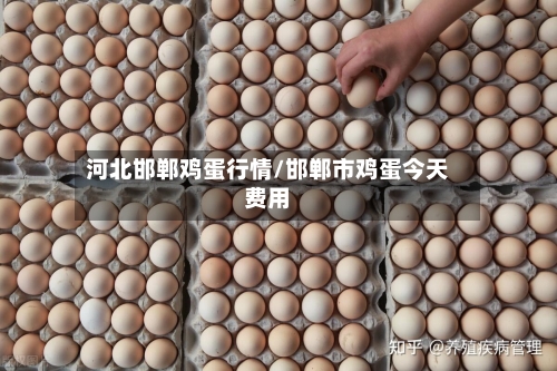 河北邯郸鸡蛋行情/邯郸市鸡蛋今天费用-第2张图片