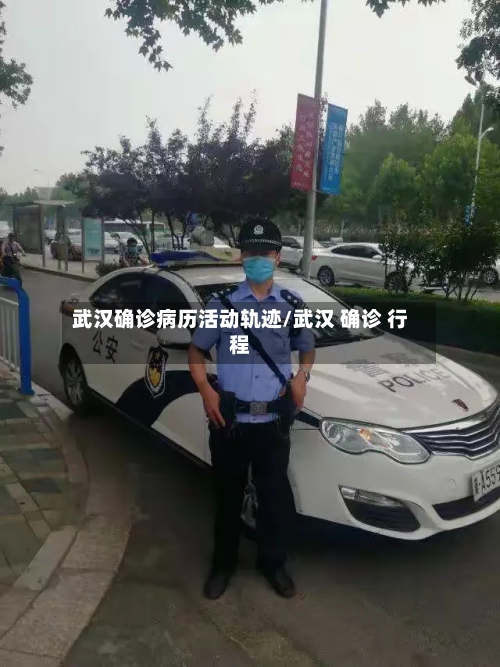 武汉确诊病历活动轨迹/武汉 确诊 行程