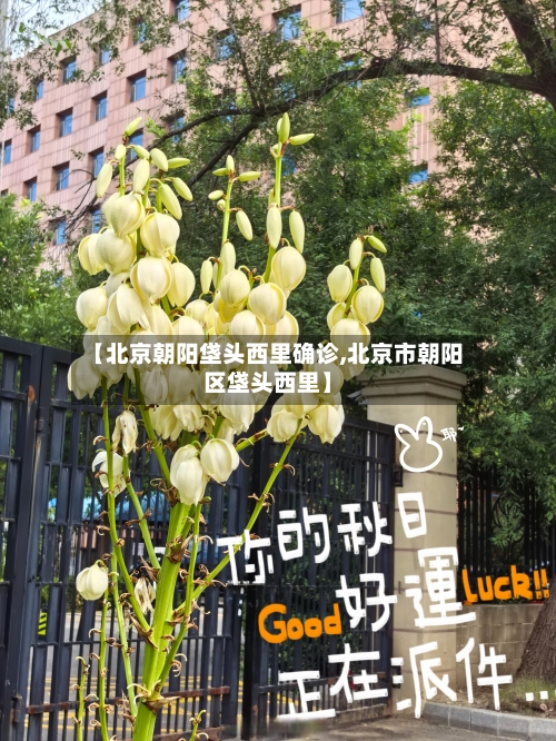 【北京朝阳垡头西里确诊,北京市朝阳区垡头西里】-第3张图片