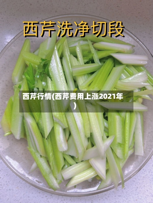 西芹行情(西芹费用上涨2021年)