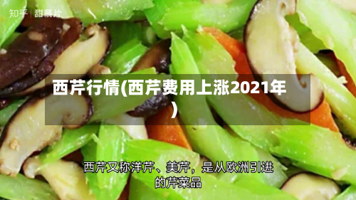 西芹行情(西芹费用上涨2021年)-第2张图片