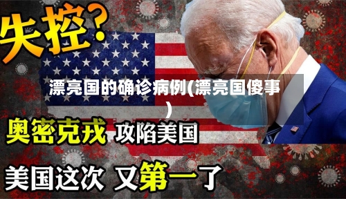 漂亮国的确诊病例(漂亮国傻事)-第2张图片
