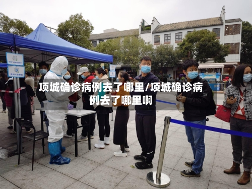 项城确诊病例去了哪里/项城确诊病例去了哪里啊-第3张图片