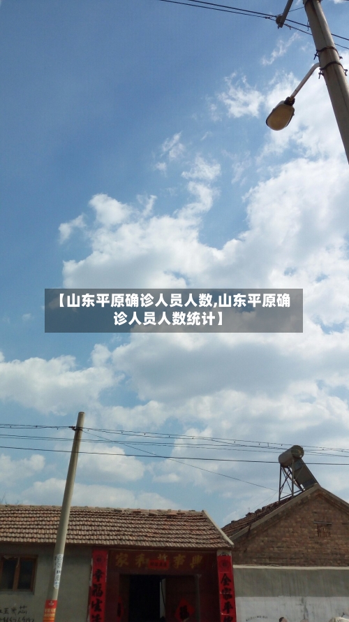 【山东平原确诊人员人数,山东平原确诊人员人数统计】