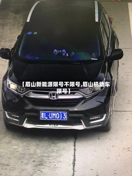 【眉山新能源限号不限号,眉山机动车限号】-第2张图片