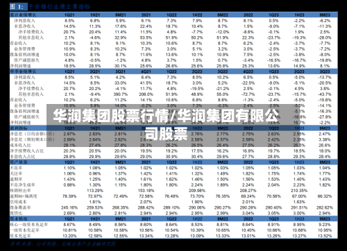 华润集团股票行情/华润集团有限公司股票-第3张图片