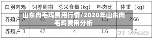 山东肉毛鸡费用行情/2020年山东肉毛鸡费用分析-第2张图片